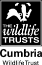 Cumbria Wildlife Trust Badger Symbol